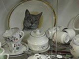 Синяя птица, антикварно-художественный салон