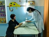 Ваш добрый доктор, ветеринарная клиника